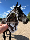 Gus & Tex reflection sticker