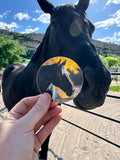 Gus profile pic sticker
